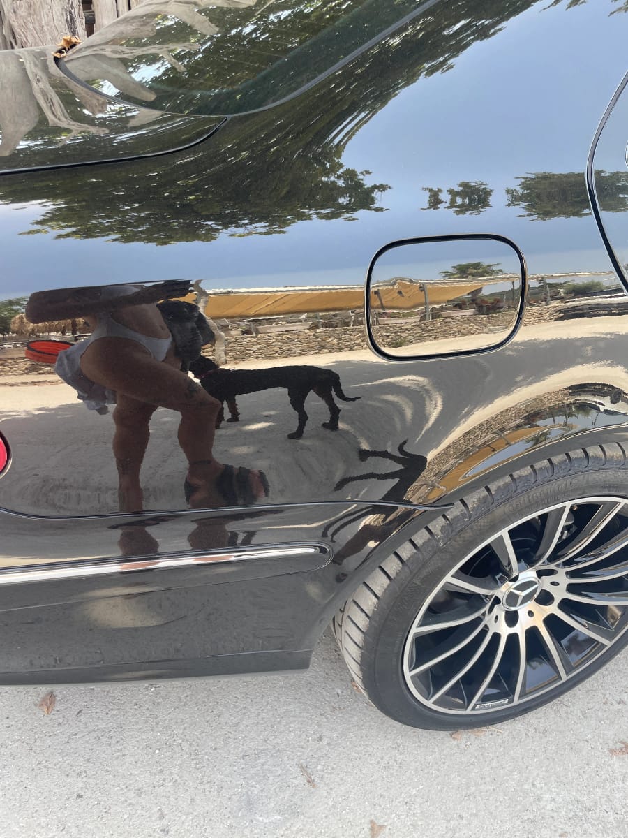 Artwork Title: Self Reflection