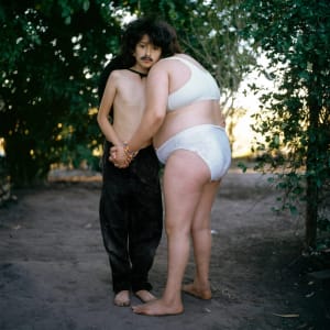 Artwork Title: The Couple