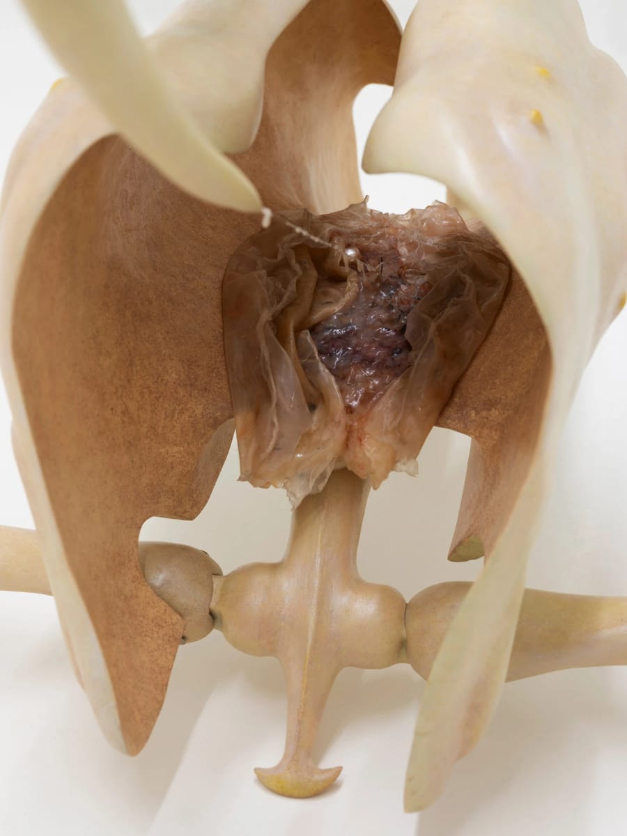 Artwork Title: Uprise