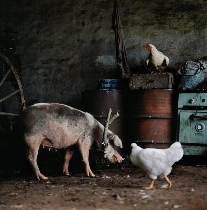 Artwork Title: undefined