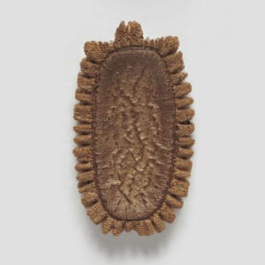 Artwork Title: Phasmid Eggs #4