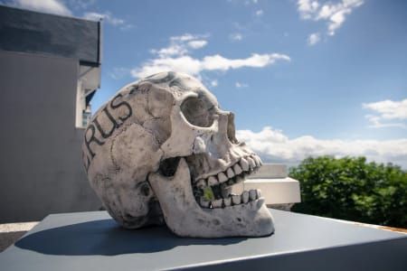 Artwork Title: Untitled