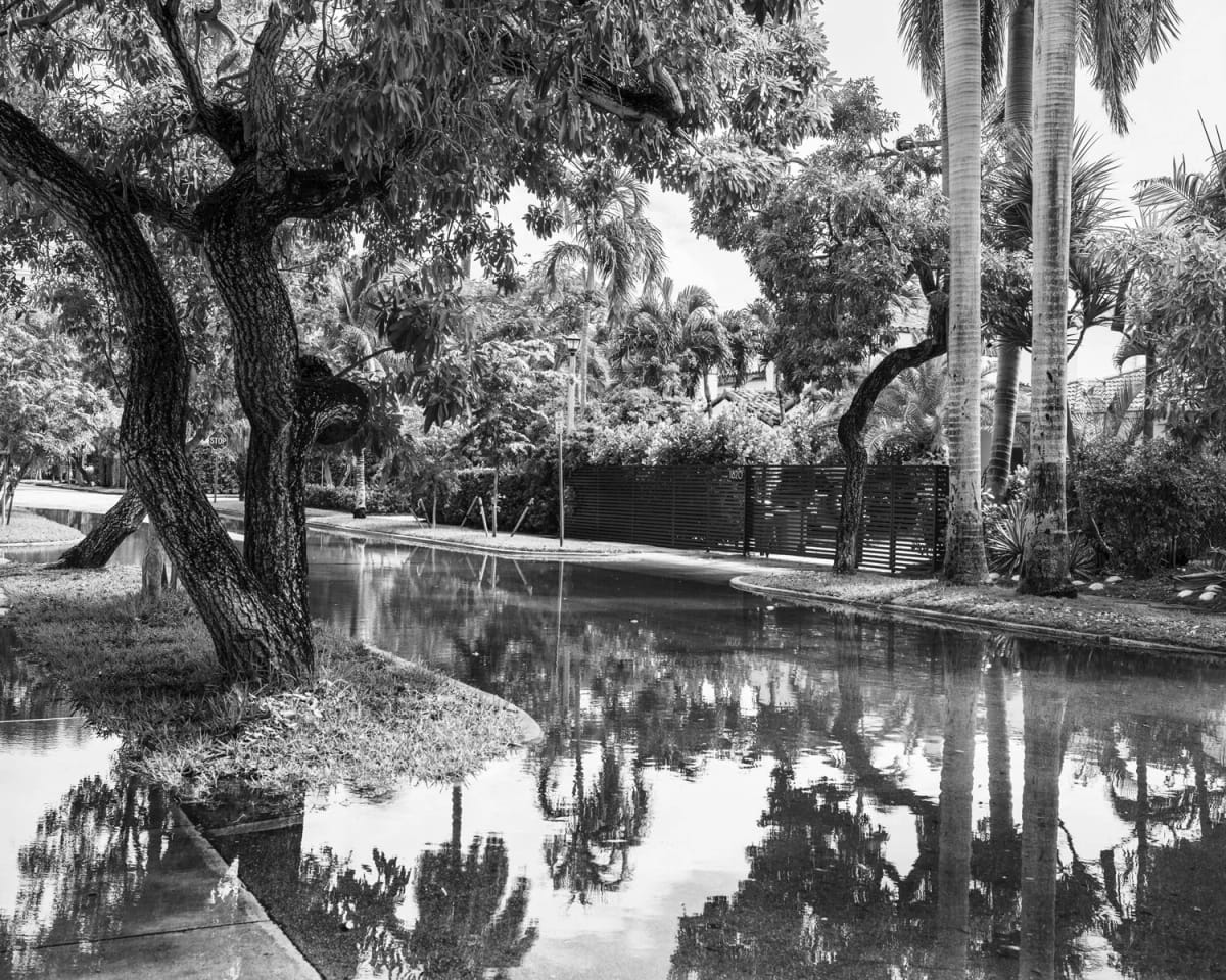 Artwork Title: Miami Beach street at king tide Jefferson Ave