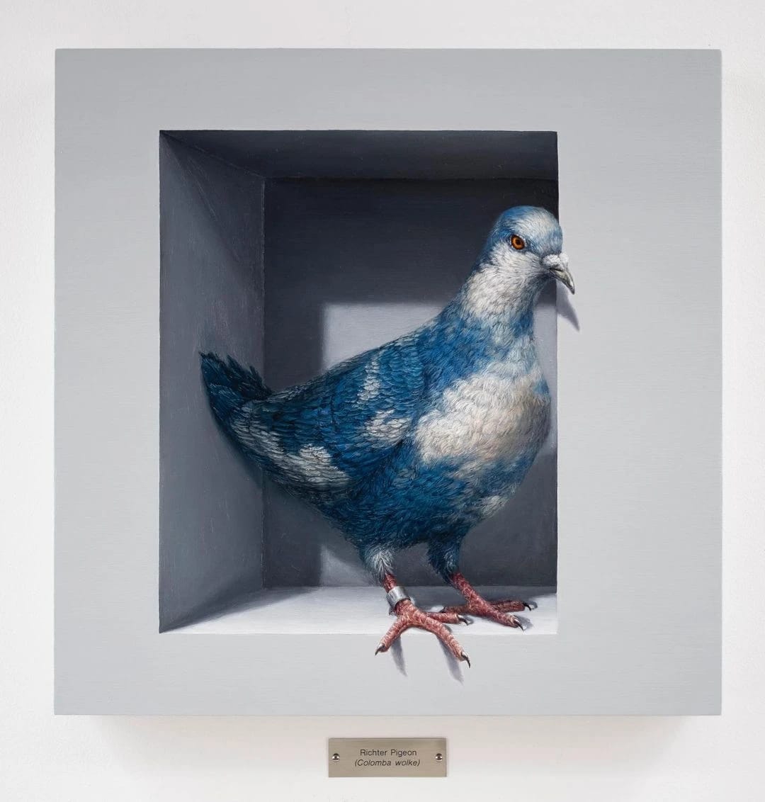 Artwork Title: undefined