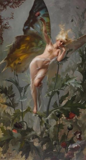 Artwork Title: The Poppy Fairy