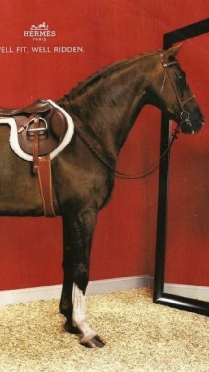 Artwork Title: Hermès Ad