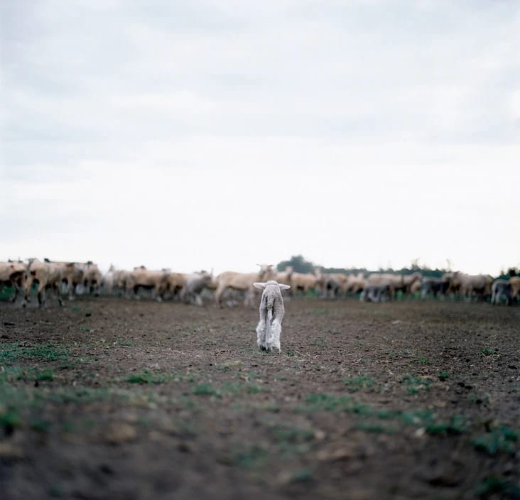 Artwork Title: undefined