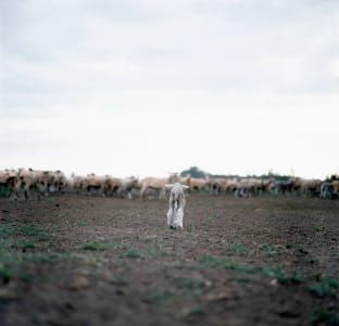 Artwork Title: Untitled