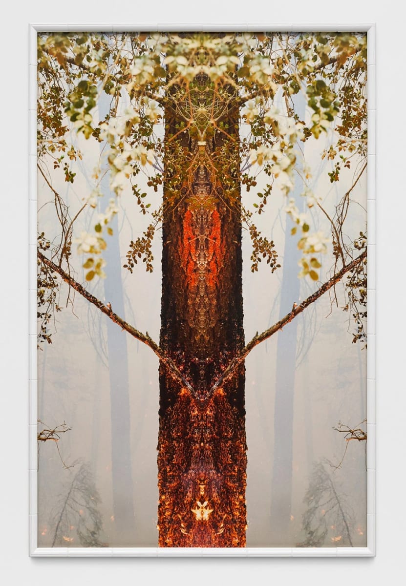 Artwork Title: Fire with Fire