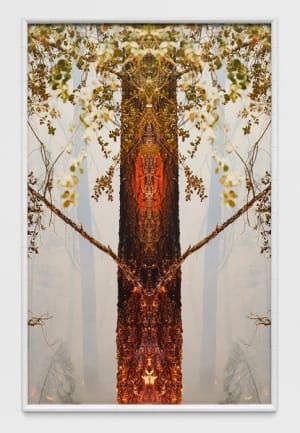 Artwork Title: Fire with Fire