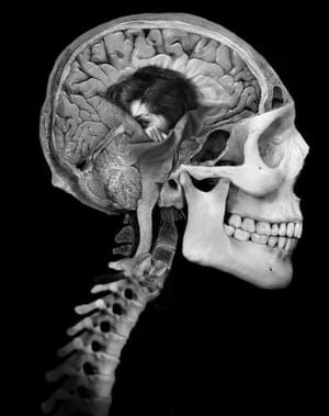 Artwork Title: Untitled