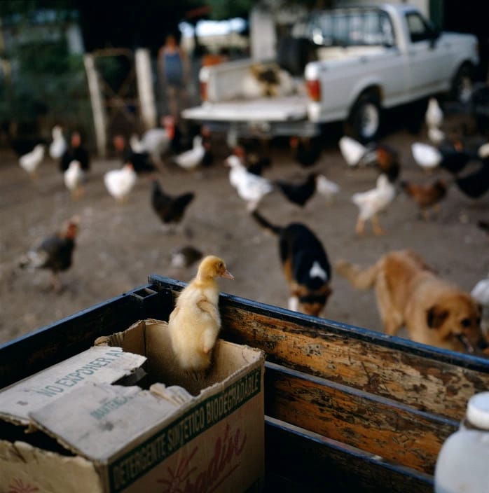 Artwork Title: undefined