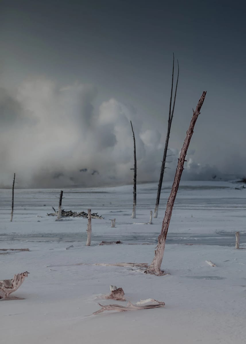 Artwork Title: undefined