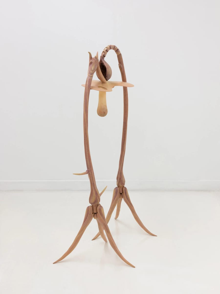 Artwork Title: The Garden of Adonis