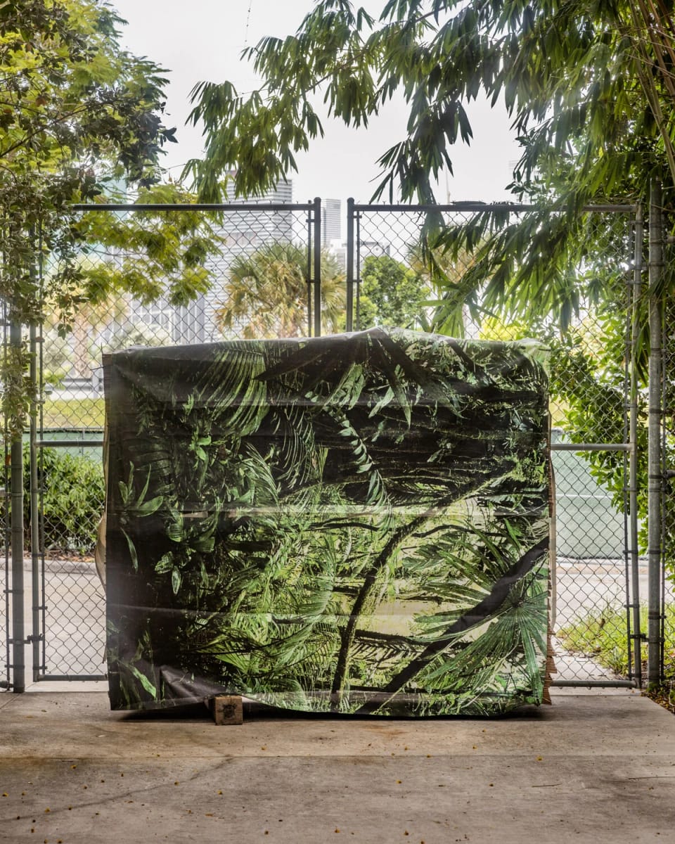 Artwork Title: Camouflage