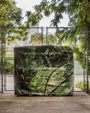 Artwork Title: Camouflage