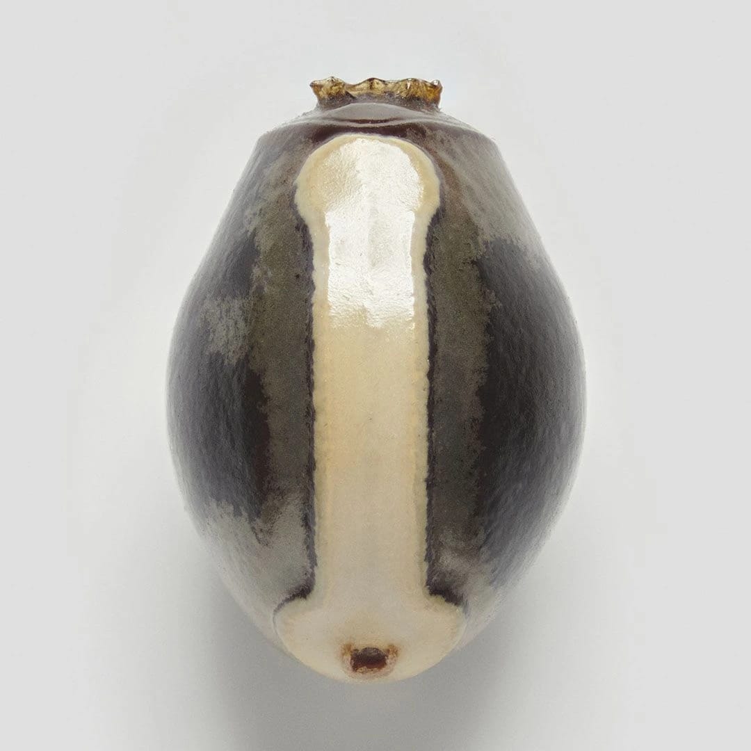 Artwork Title: Phasmid Eggs #12