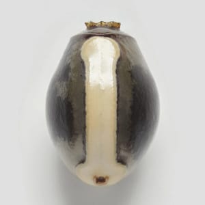 Artwork Title: Phasmid Eggs #12