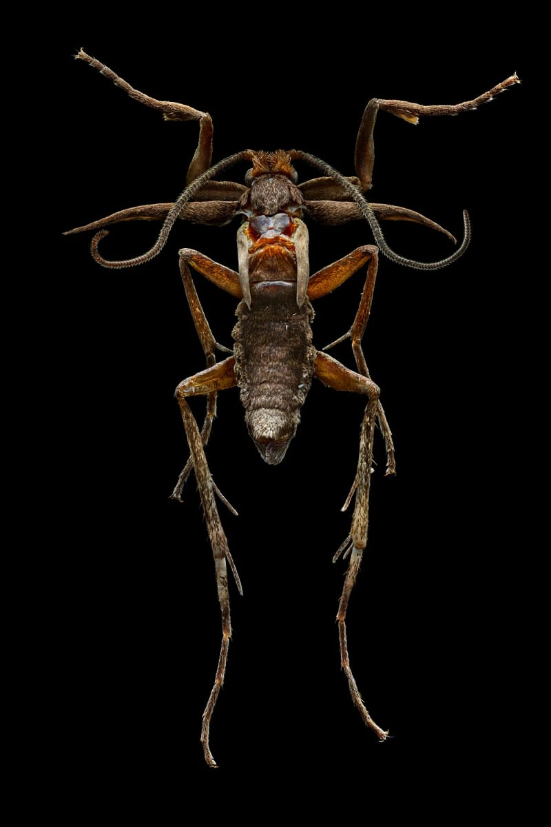 Artwork Title: undefined