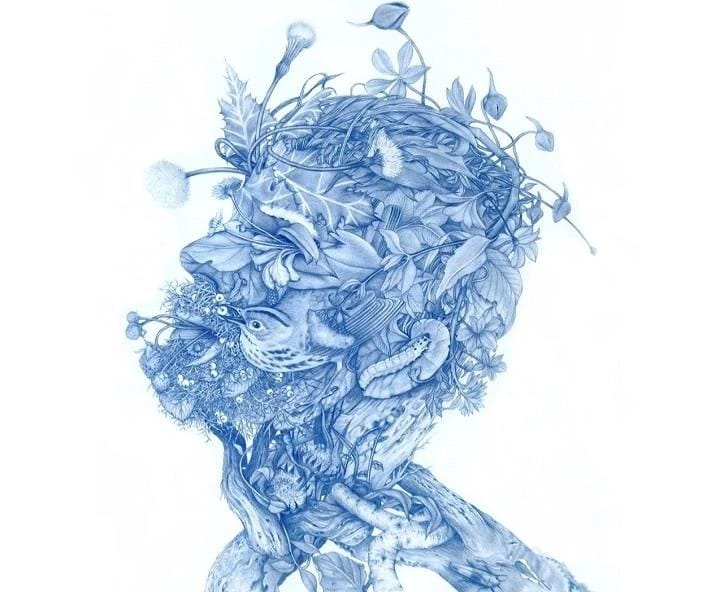 Artwork Title: undefined