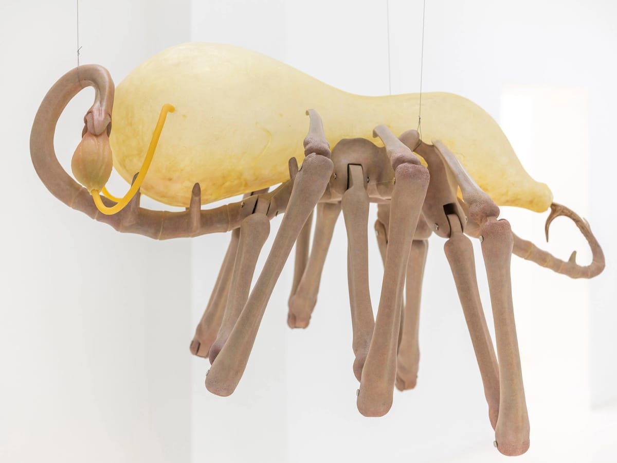 Artwork Title: Blind Hunter