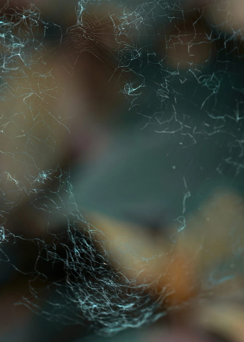 Artwork Title: undefined