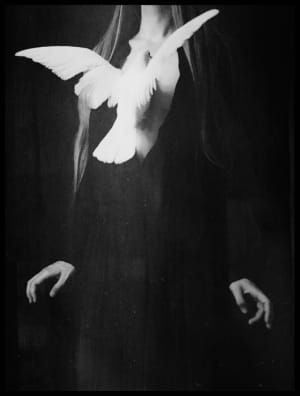 Artwork Title: Untitled