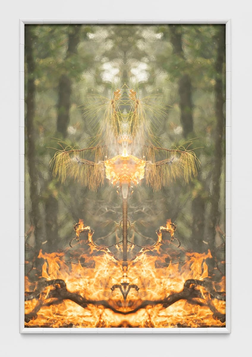 Artwork Title: Fire with Fire