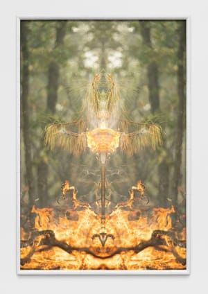 Artwork Title: Fire with Fire