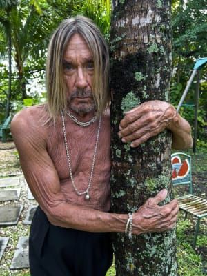 Artwork Title: Iggy Pop No.23, Miami