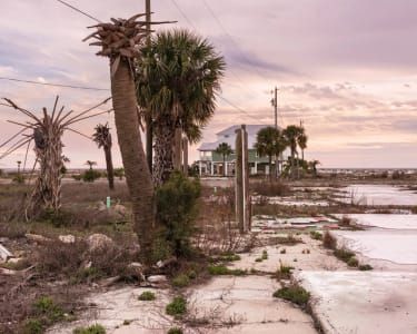 Artwork Title: Empty Lots, Mexico Beach