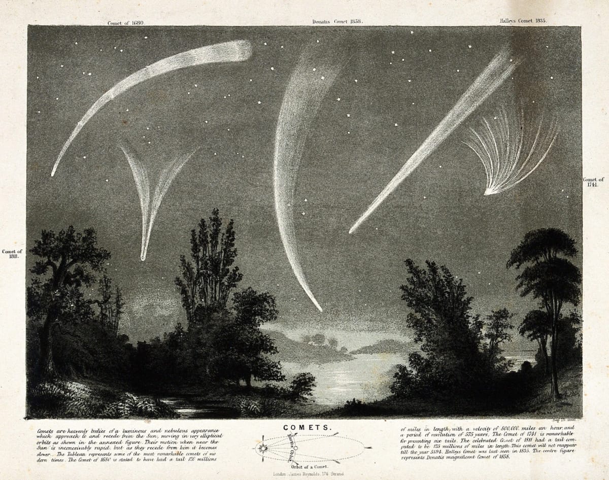 Artwork Title: Halley's Comet (1835), Donatis Comet (1858), and further comets of 1680, 1741, and 1811