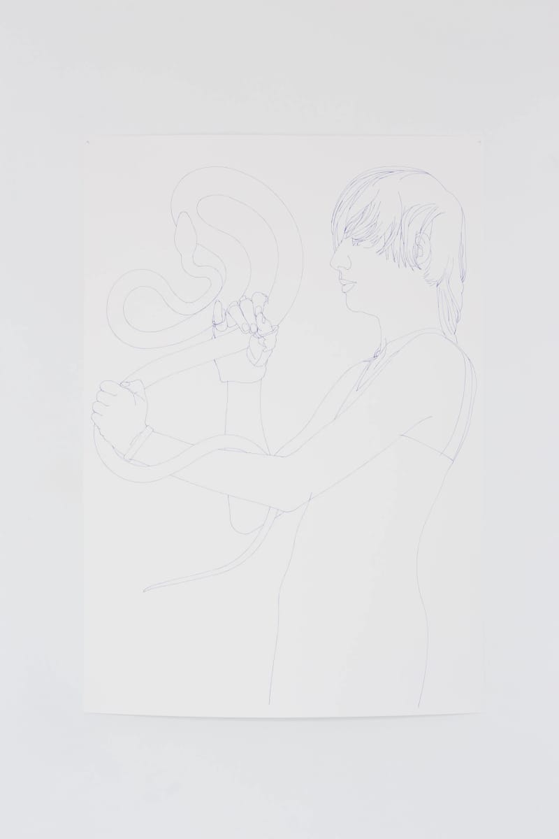 Artwork Title: KO Flex