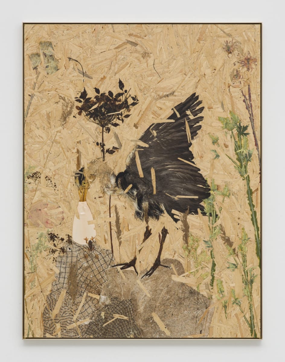 Artwork Title: undefined