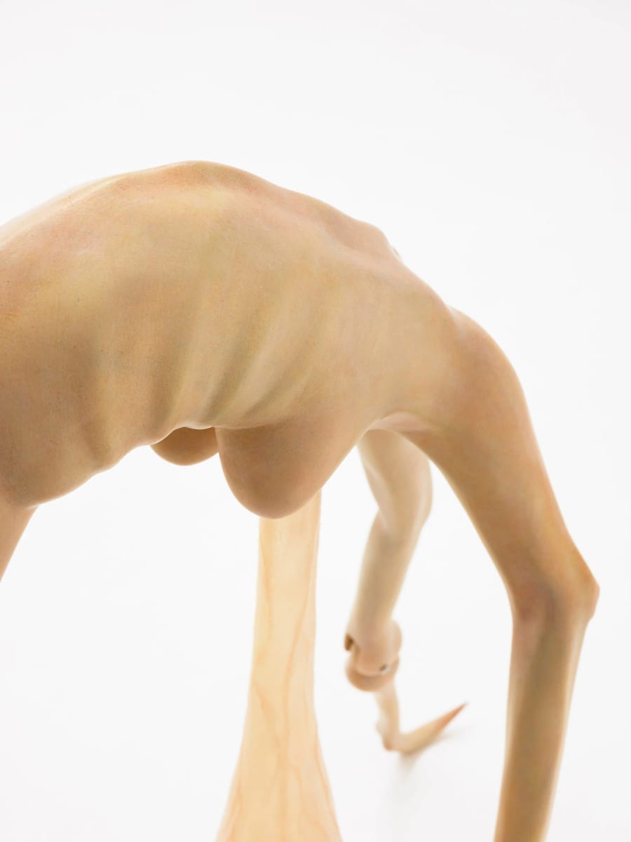 Artwork Title: Hesitation