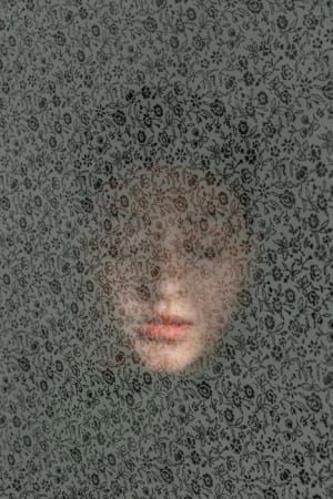 Artwork Title: Untitled