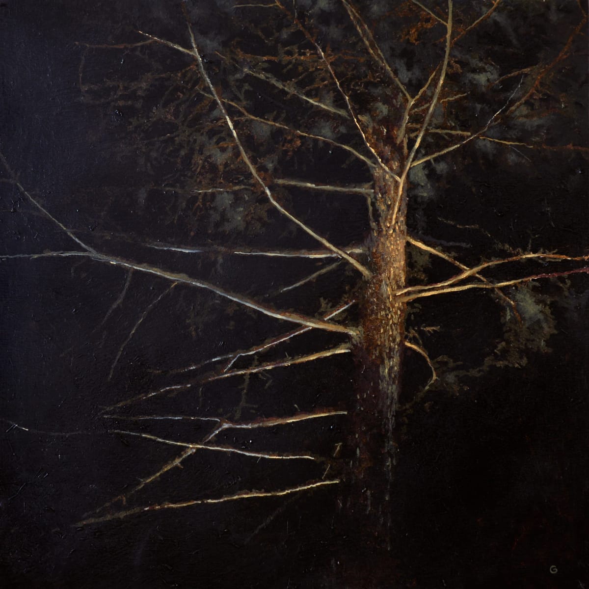 Artwork Title: Something Spooked The Horses