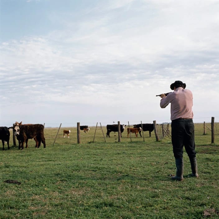 Artwork Title: undefined