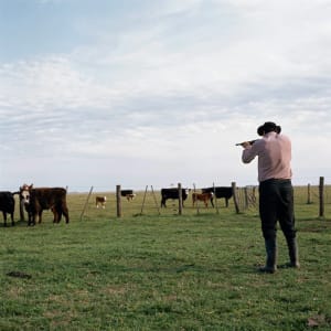 Artwork Title: Untitled