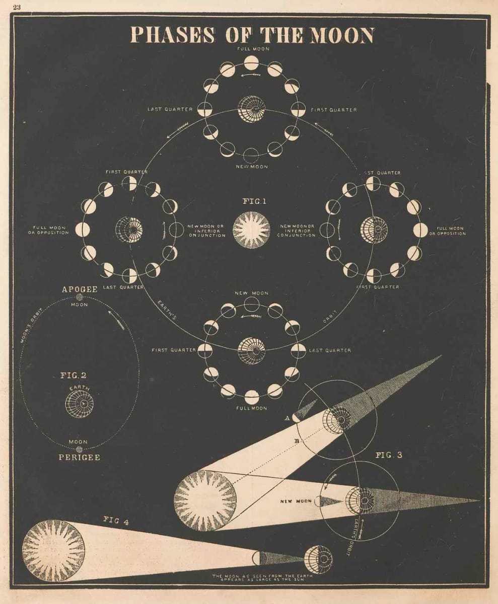 Artwork Title: undefined