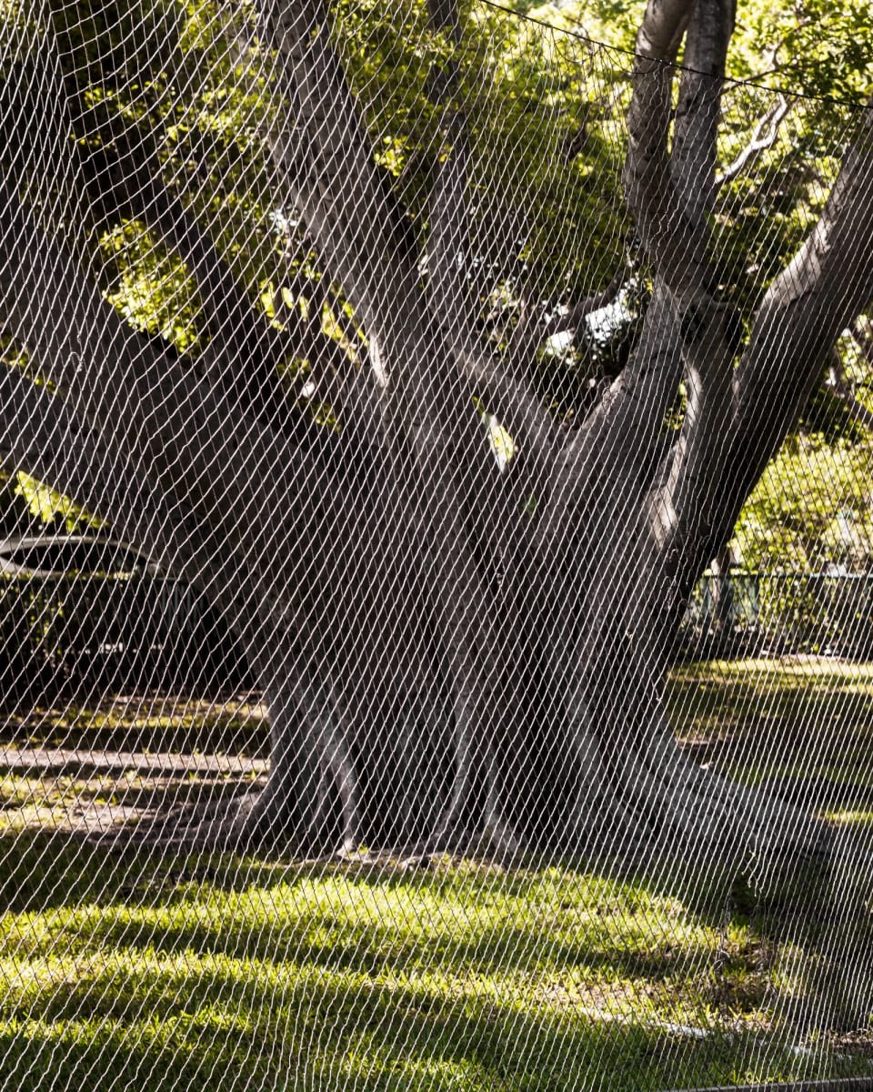 Artwork Title: Floodzone