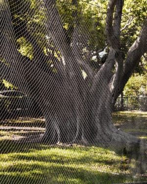 Artwork Title: Floodzone