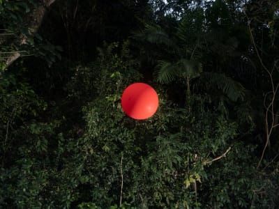 Artwork Title: Untitled