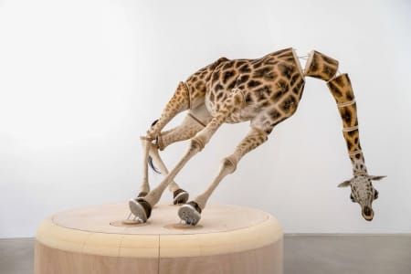 Artwork Title: The Elephant in the Room