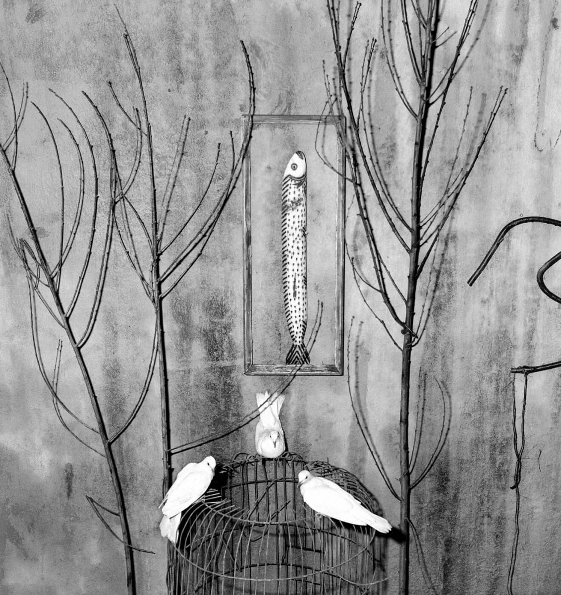 Artwork Title: Ambience