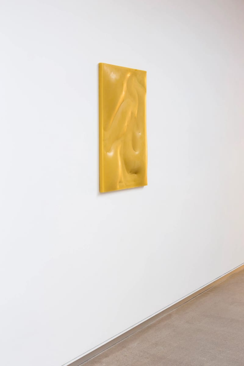 Artwork Title: Garceta nívea, paisaje amarillo