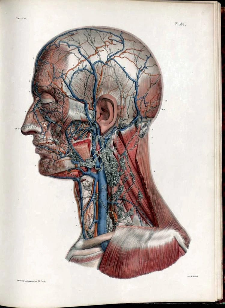 Artwork Title: undefined