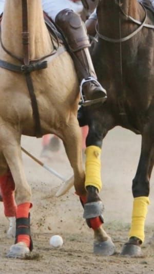 Artwork Title: Untitled