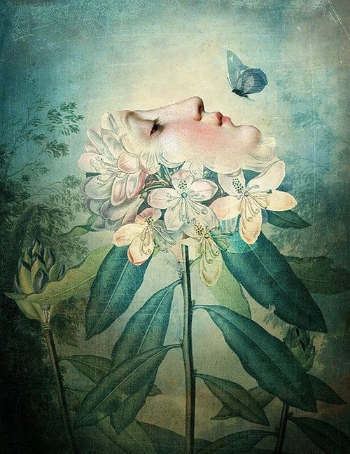 Artwork Title: undefined