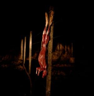 Artwork Title: Untitled